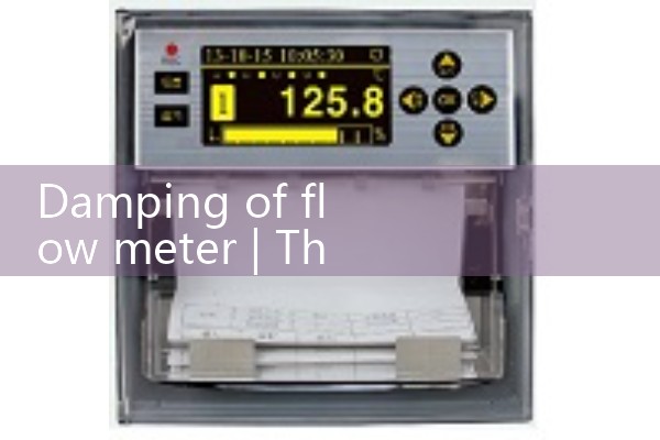 Flow meter damping